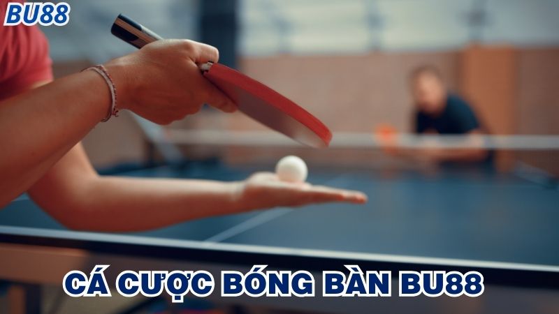 Hướng dẫn cách tham gia cá cược bóng bàn Bu88