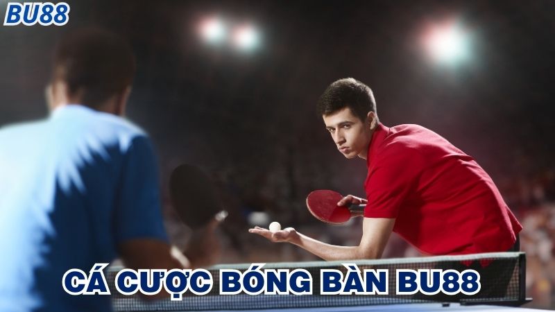 Giới thiệu về sảnh cá cược bóng bàn Bu88