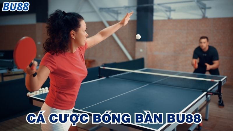 Những lưu ý khi cá cược bóng bàn Bu88